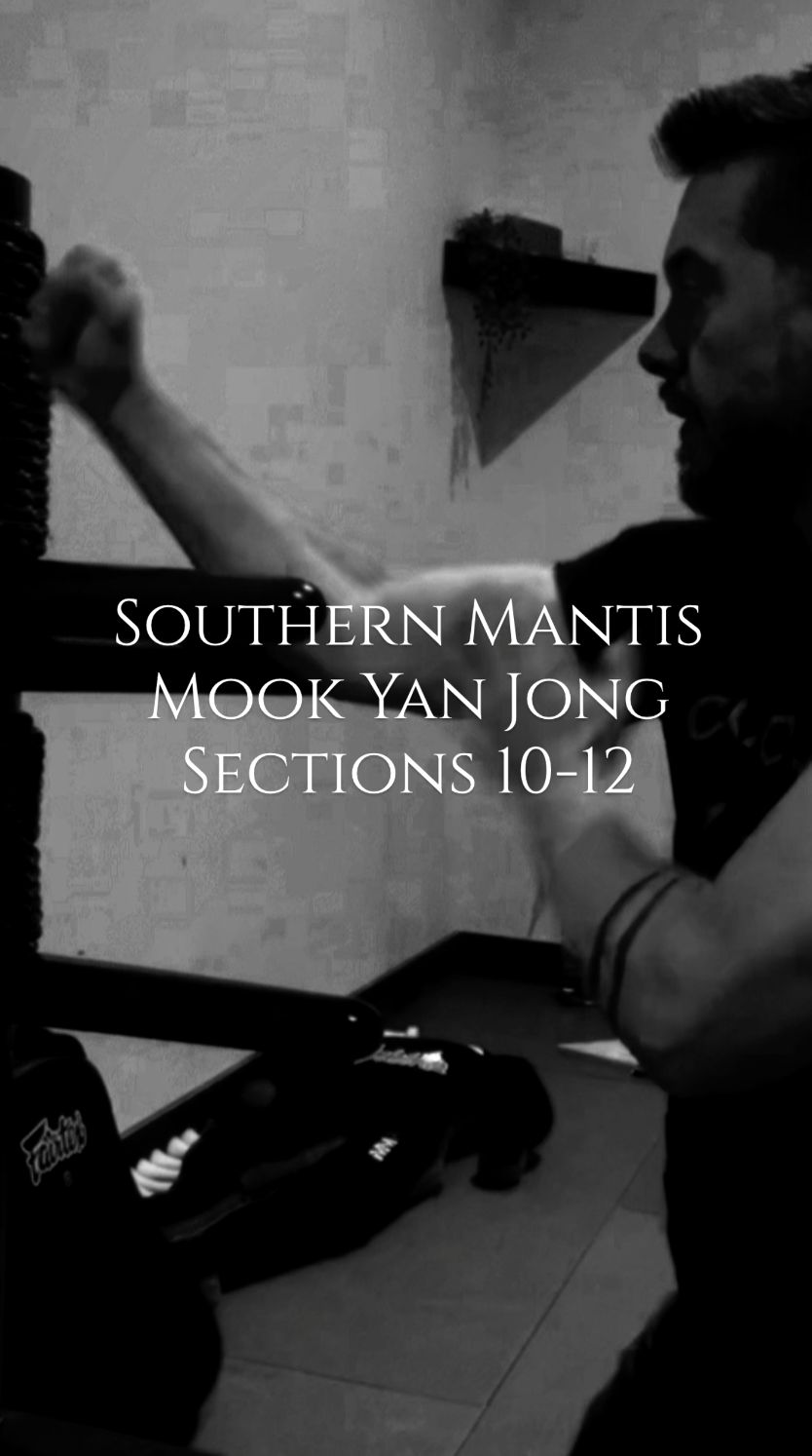 Southern Mantis Wooden Dummy Sections 10-12