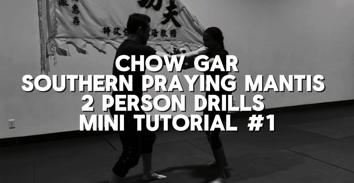 Southern Praying Mantis 2 Person Drills Mini Tutorial #1