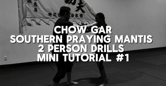 Southern Praying Mantis 2 Person Drills Mini Tutorial #1