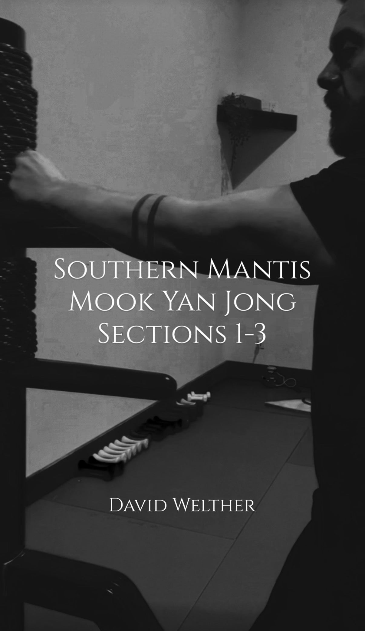 Southern Mantis Wooden Dummy Sections 1-3