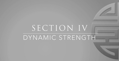 Southern Mantis Ring Volume 2