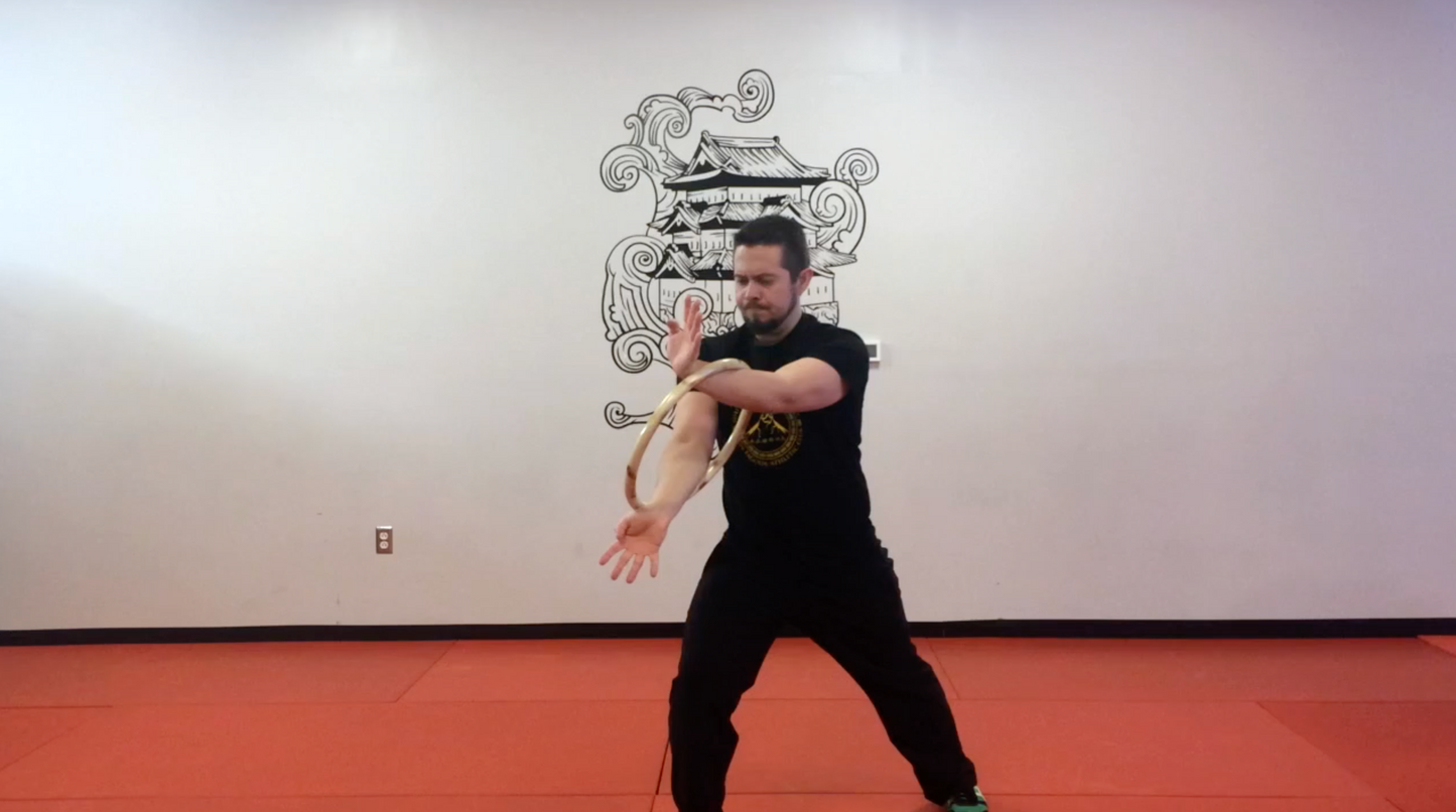 Southern Mantis Ring Volume 3