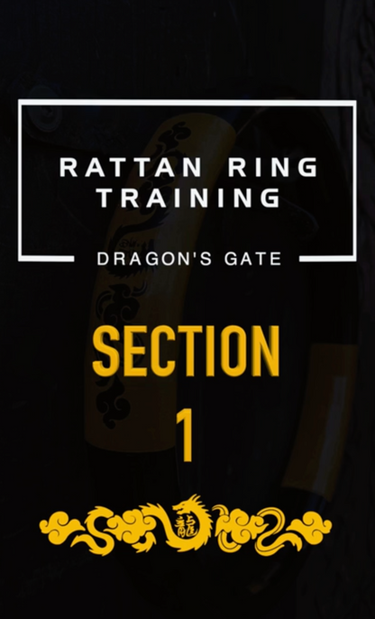 Dragon's Gate Shadow Boxing Tutorial | Empeor Ring