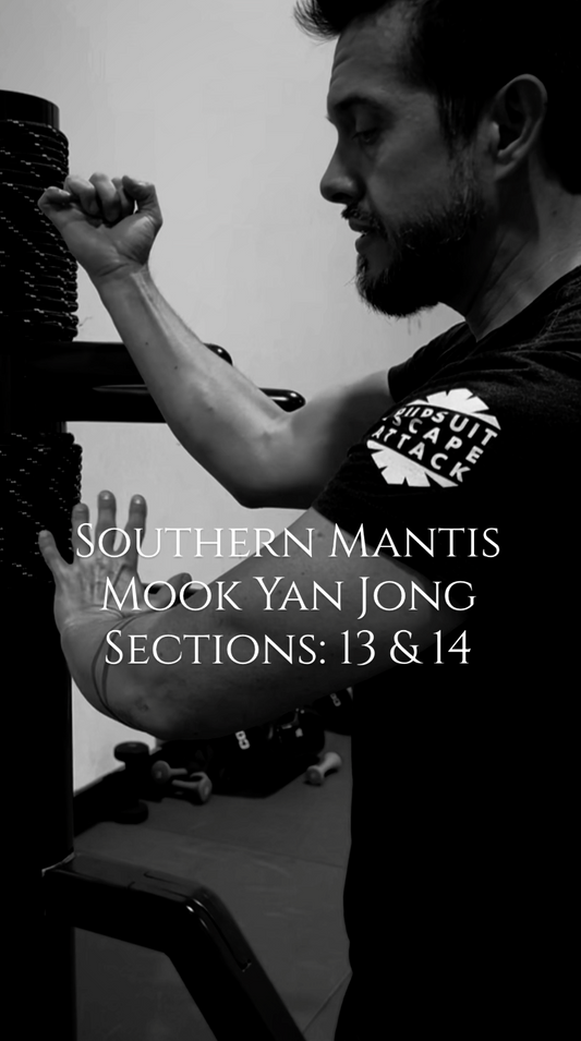 Southern Mantis Wooden Dummy Sections 13-14